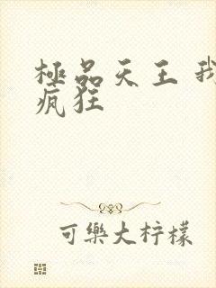 极品天王 我本疯狂