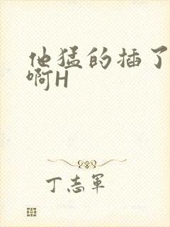 他猛的插了进去啊H