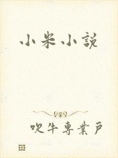 小米小说