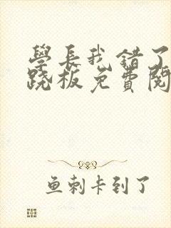 学长我错了 跷跷板免费阅读