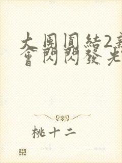 大团圆结2亲情会闪闪发光亲情会