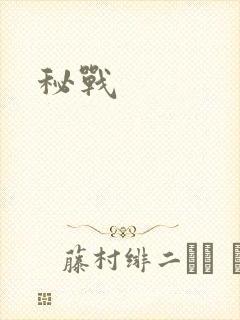 秘战
