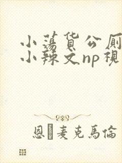 小荡货公厕h文小辣文np视频