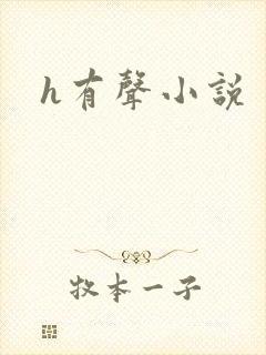 h有声小说
