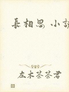 长相思 小说