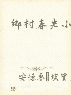 乡村春光小说
