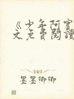 《少年阿宾》全文免费阅读