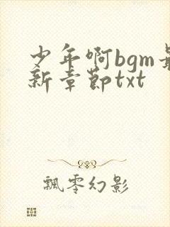 少年啊bgm最新章节txt