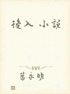 后入 小说
