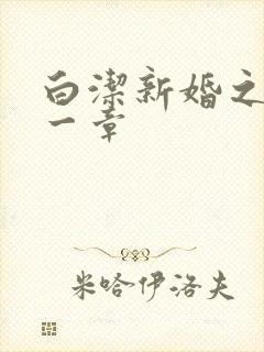 白洁新婚之夜第一章