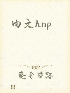 肉文hnp