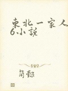 东北一家人1一6小说