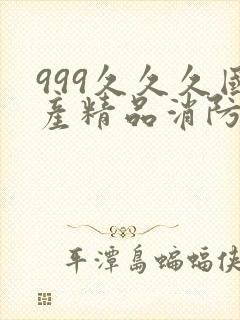 999久久久国产精品消防器材