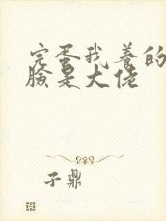 完蛋我养的小白脸是大佬