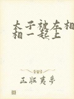 太子被左相和右相一起上