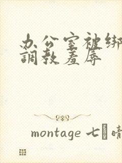 办公室被绑奶头调教羞辱