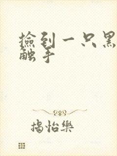 捡到一只黑心小触手