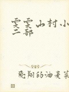 雯雯山村小说第二部