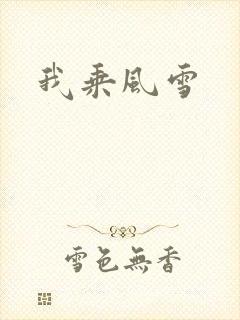 我乘风雪