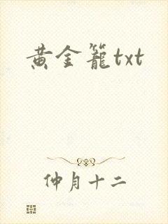 黄金笼txt