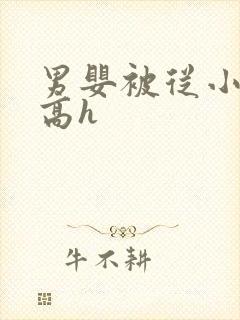 男婴被从小调教高h