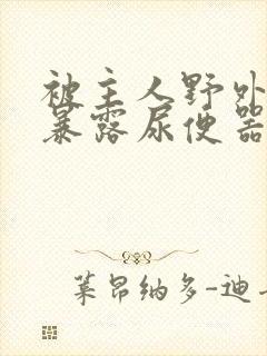 被主人野外调教暴露尿便器