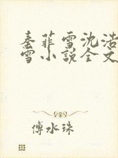 秦菲雪沈浩秦菲雪小说全文免费阅读求书
