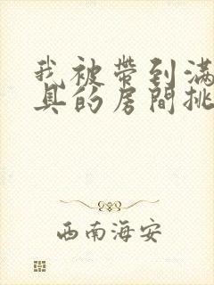 我被带到满是玩具的房间挑调作文