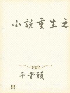 小说重生之官道