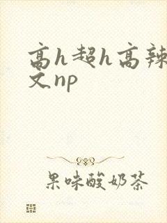 高h超h高辣h文np