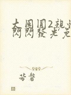 大团圆2亲情会闪闪发光免费