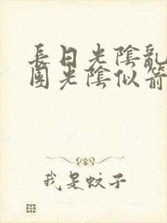 长日光阴乱作一团光阴似箭眇眇