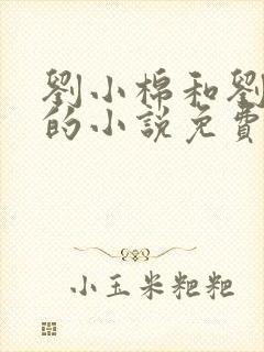 刘小棉和刘易文的小说免费阅读