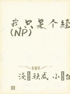 我只是个经纪人(NP)