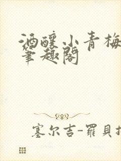 酒酿小青梅po笔趣阁