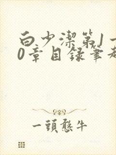 白少洁第1一40章目录笔趣阁