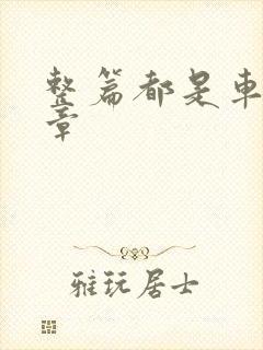 整篇都是车的文章