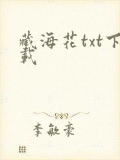 藏海花txt下载