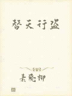 替天行盗