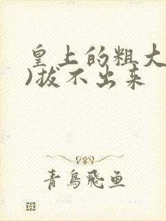 皇上的粗大(h)拔不出来