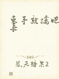 束手就擒吧韩队长