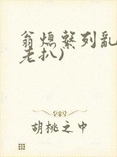 翁熄系列乱 (老扒)