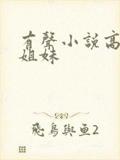 有声小说高树三姐妹