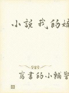 小说 我的娇妻