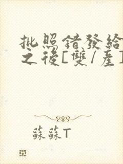 批照错发给情敌之后[双/产]