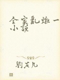 全家乱炖一锅烩小说