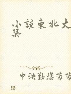 小说东北大炕全集