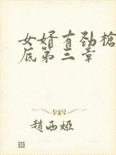 女婿有劲枪枪到底第三章