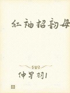 红袖招韵母攻略