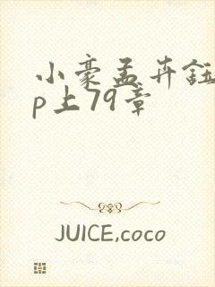 小豪孟卉钰慧三p上79章